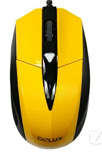 T8