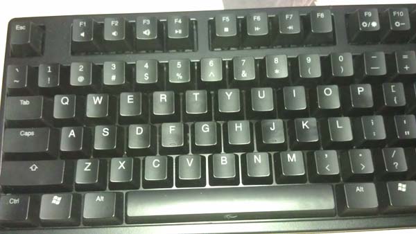 Ducky9008 shining