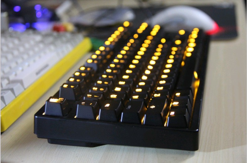 Ducky  ȹ