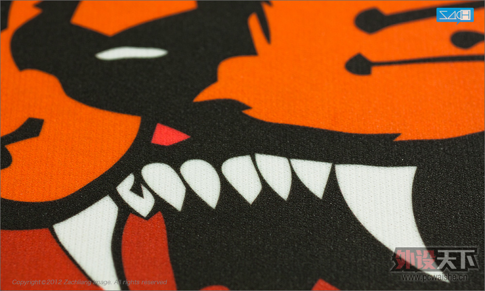 Qpad CT Lions Esport Club 限量版 杂谈