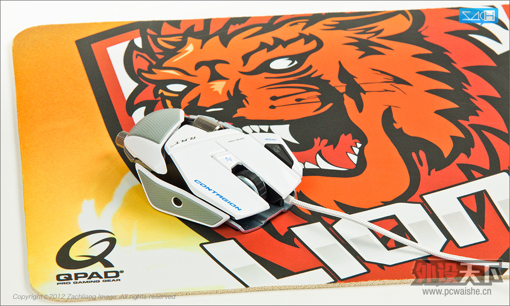 Qpad CT Lions Esport Club 限量版 杂谈