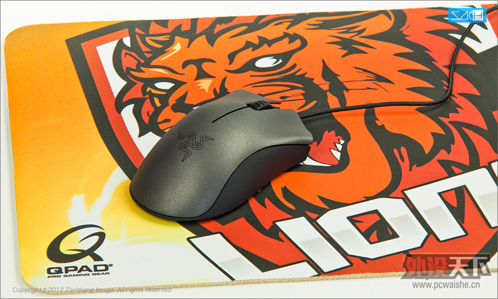 Qpad CT Lions Esport Club 限量版 杂谈