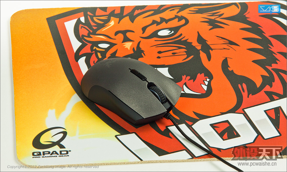 Qpad CT Lions Esport Club 限量版 杂谈