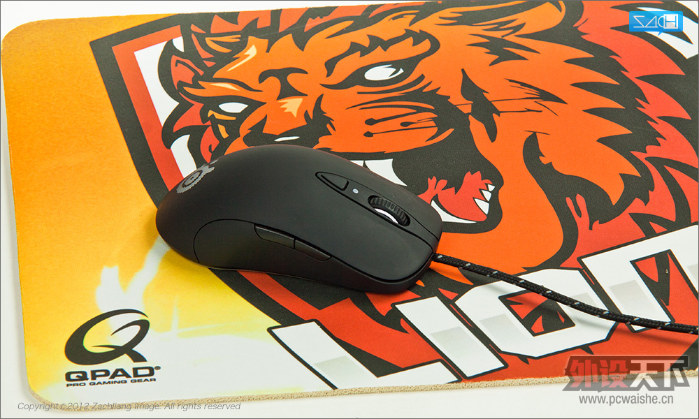 Qpad CT Lions Esport Club 限量版 杂谈