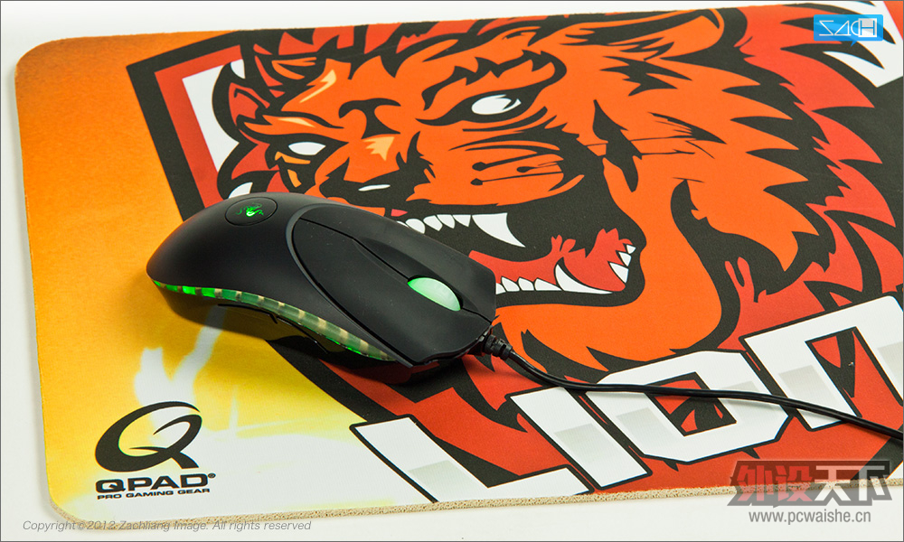 Qpad CT Lions Esport Club 限量版 杂谈