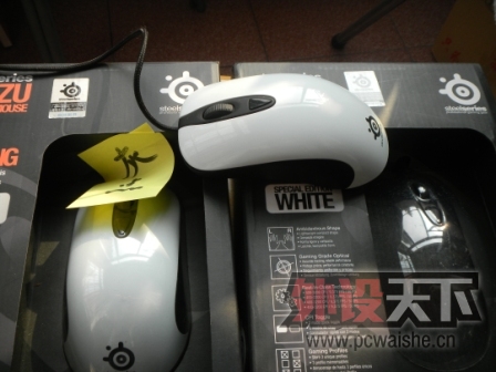 DSCN0319.JPG