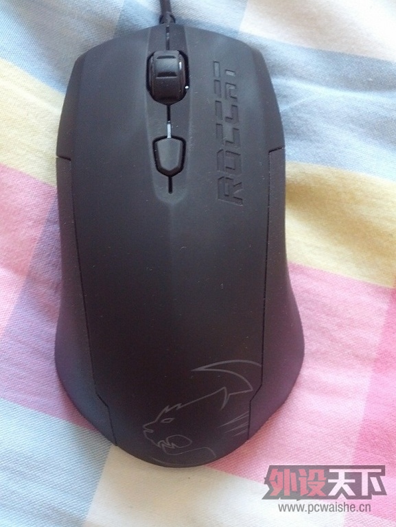 l3.jpg