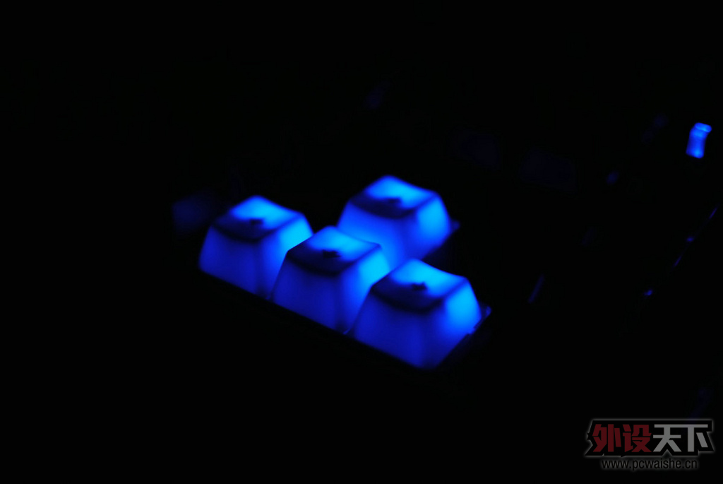 DSC_0009.jpg