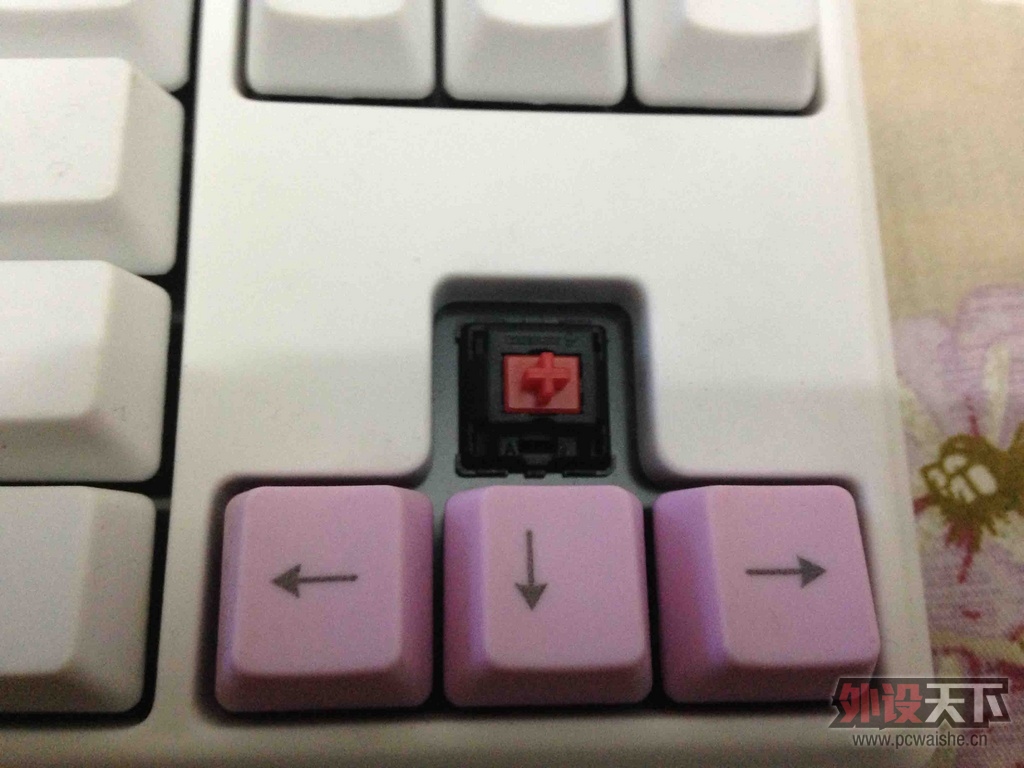 KC红轴