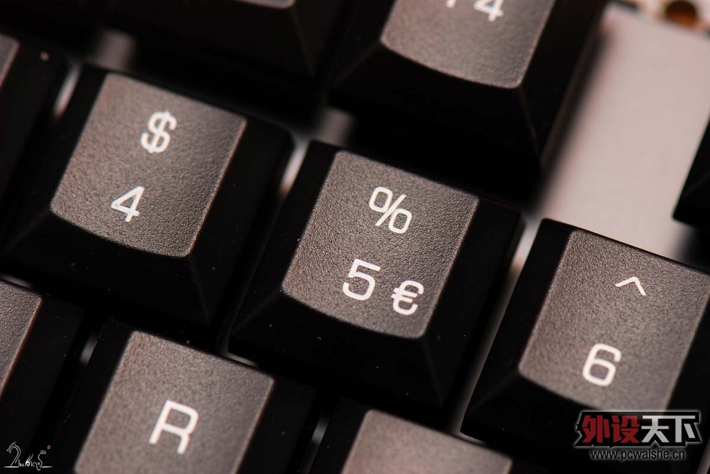 g80-3850-(28).jpg
