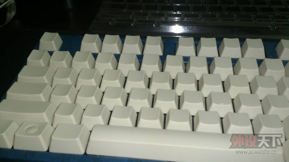 A037452563CB708D67022336E0E2FEAF.jpg
