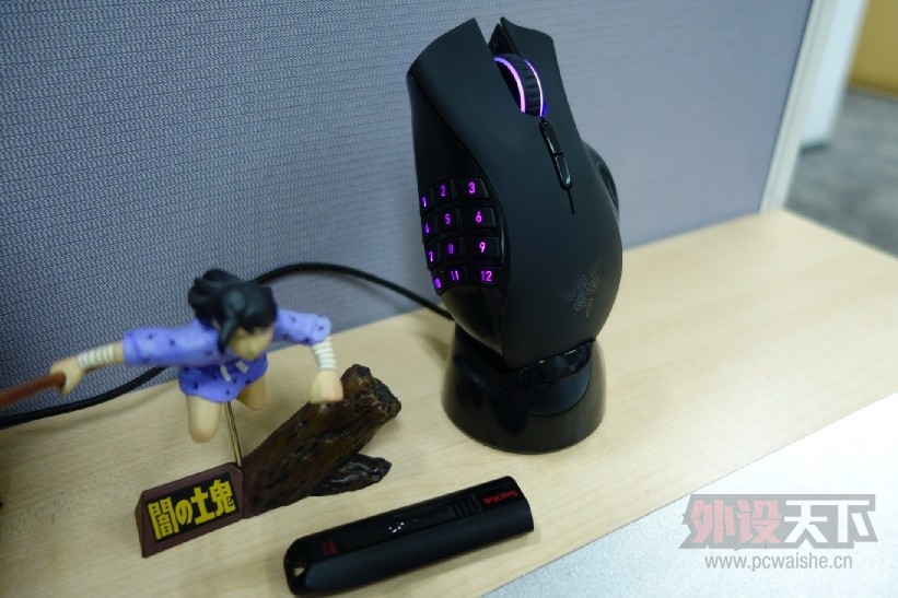 NAGA2.jpg