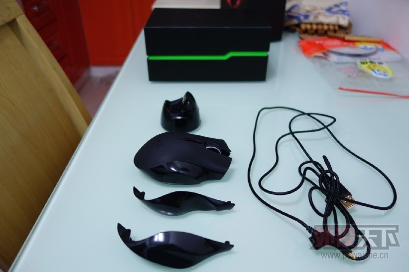 NAGA8.jpg