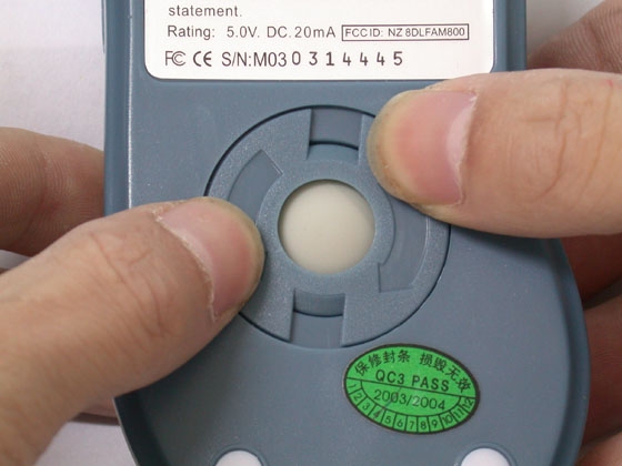 519317.jpg