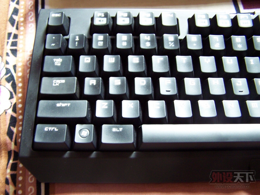 100_2469.JPG