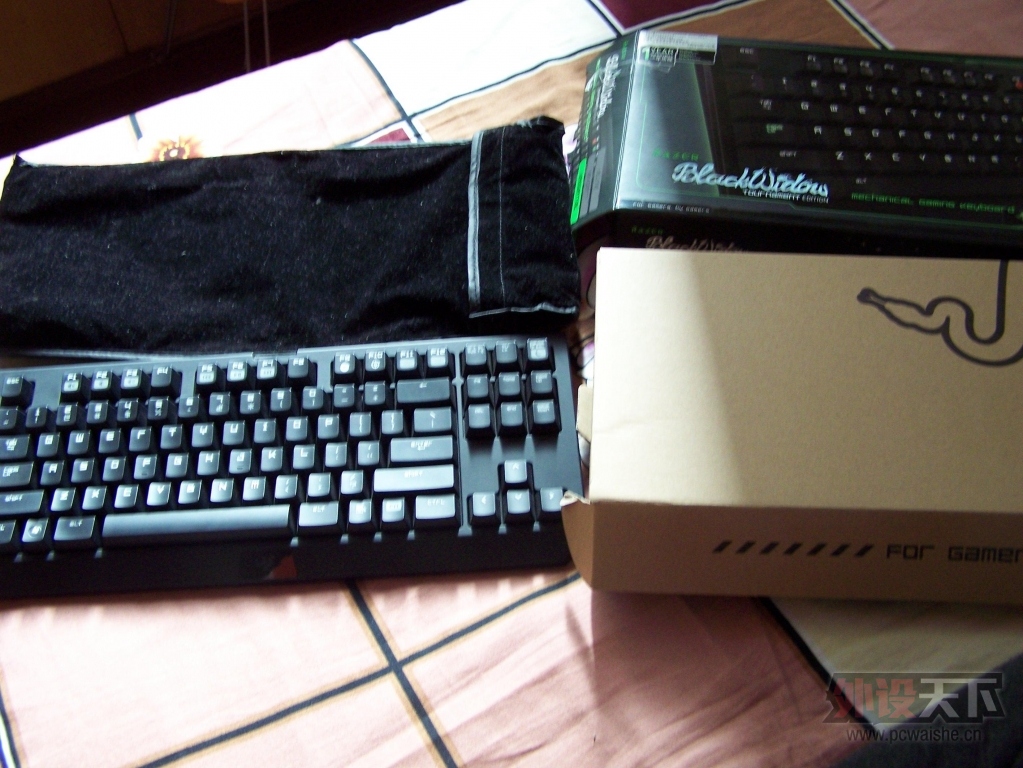 100_2470.JPG