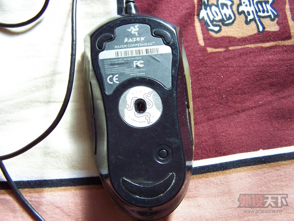 100_2480.JPG