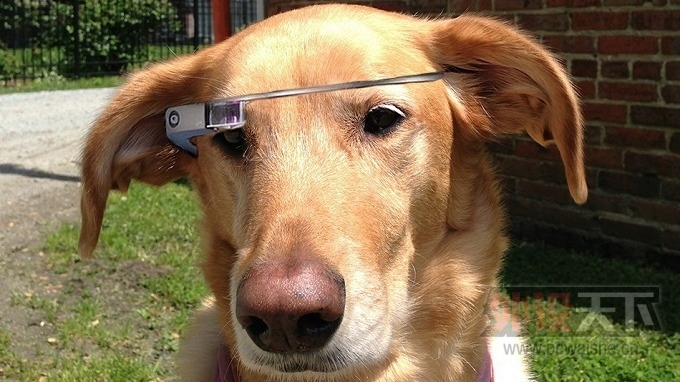 Google Glass ½Ӣгۼ 1000 Ӣ