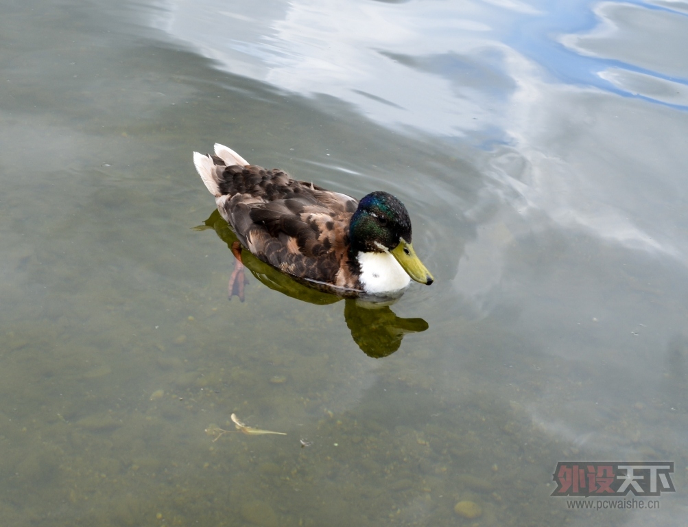 DSC_9166.jpg