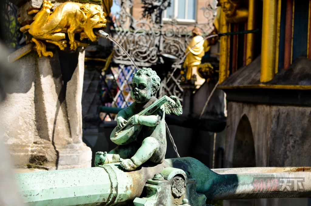DSC_9559.jpg
