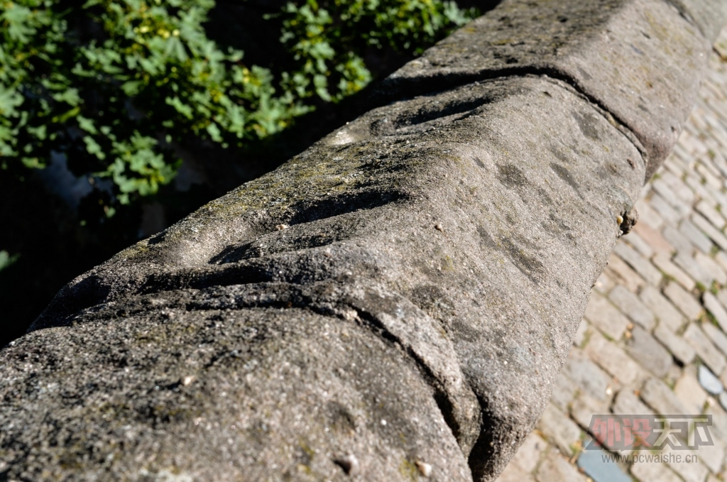 DSC_9574.jpg