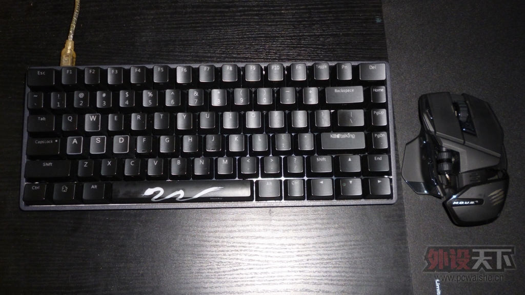 P1030899.JPG