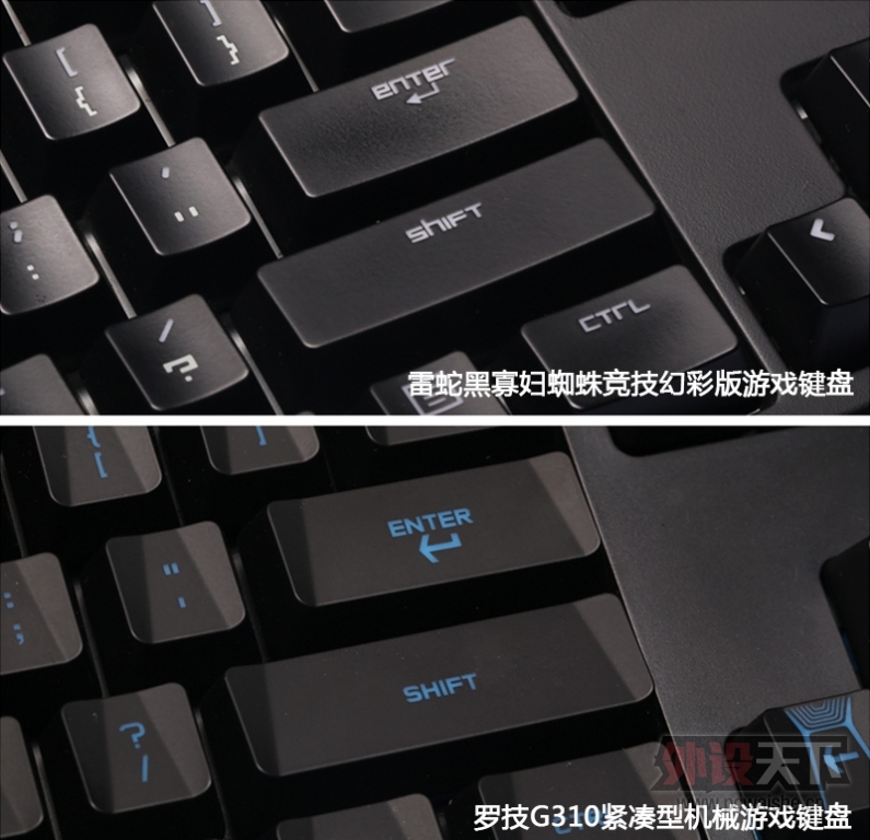 tz019.jpg