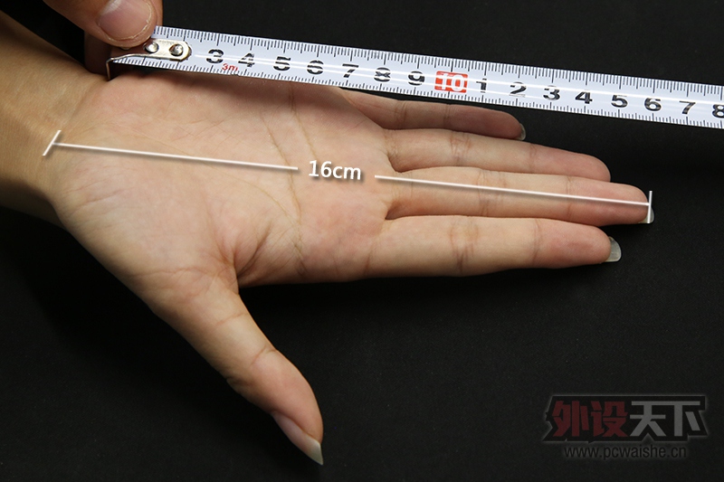 16cm��ע.jpg