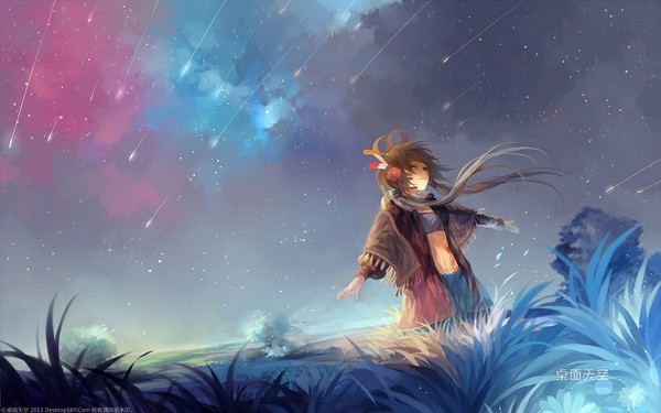 【每日话题】2015.12.14 双子座流星雨今晚登场，你要许什么愿望呐？