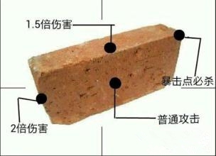 【小爆料】主页妹与花姐流翔的日常