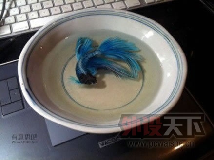颠覆你视觉的时刻到了