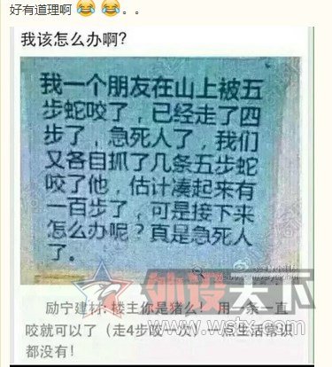 找到了个好保姆