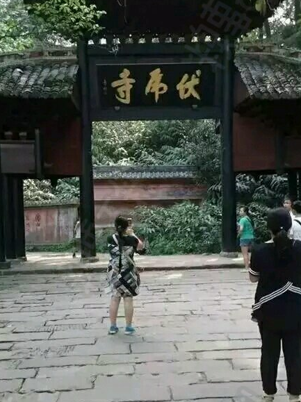 【伪单摆出品】 今日茶话会 听说单摆发烧了~~~