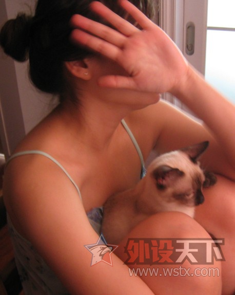 【外设+萌宠】一人 一猫  一外设  一个家  仅此而已