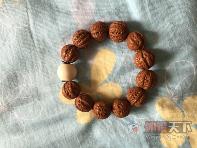 111940xl9yg00bb1hyl18u.jpg