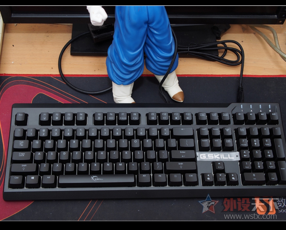 nEO_IMG_PA275383.jpg