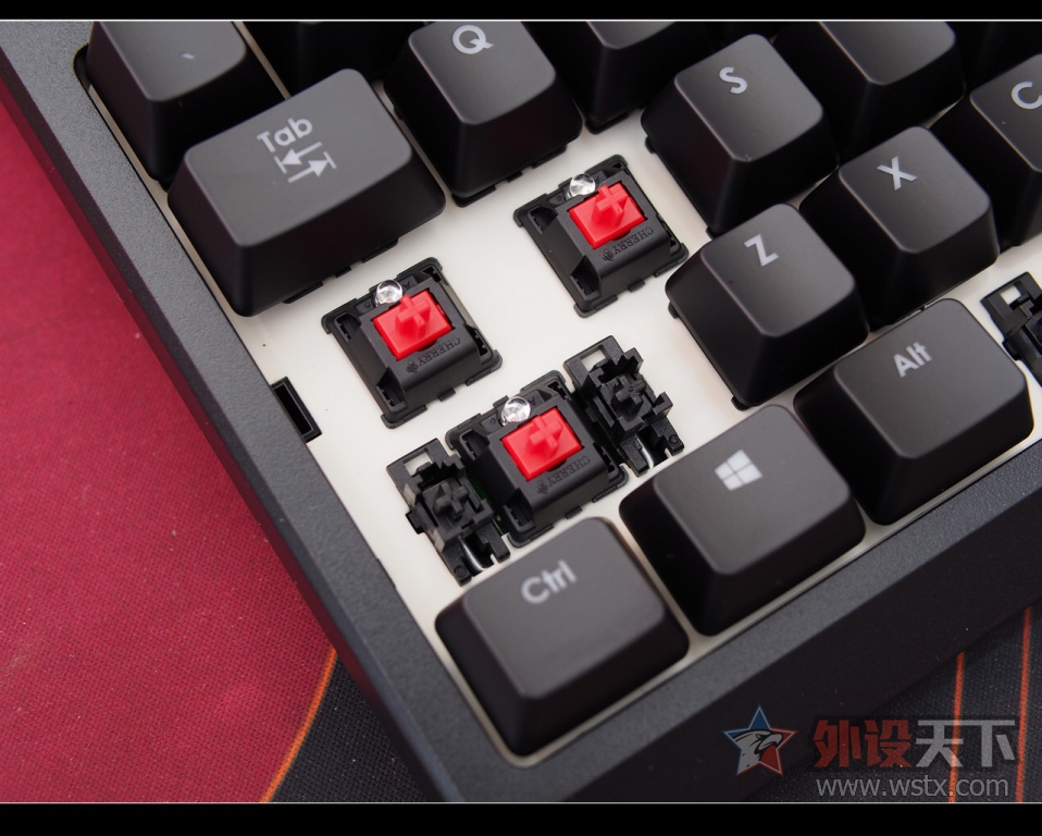 nEO_IMG_PA275393.jpg