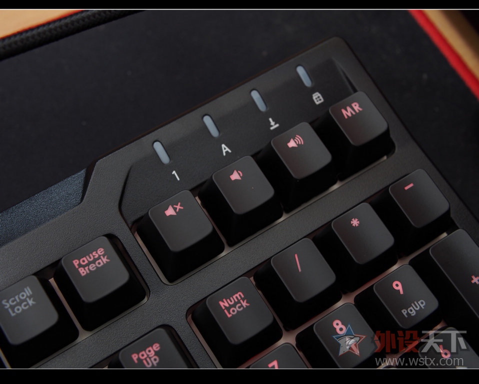 nEO_IMG_PA275398.jpg