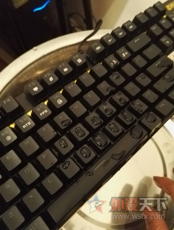 黄金键盘 朱雀CIY