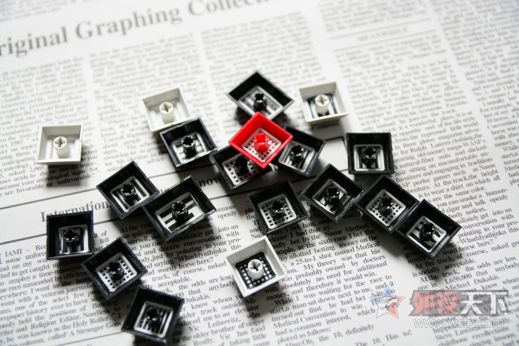 狰狞的困兽——DSA  WolfMark狼印键帽图赏