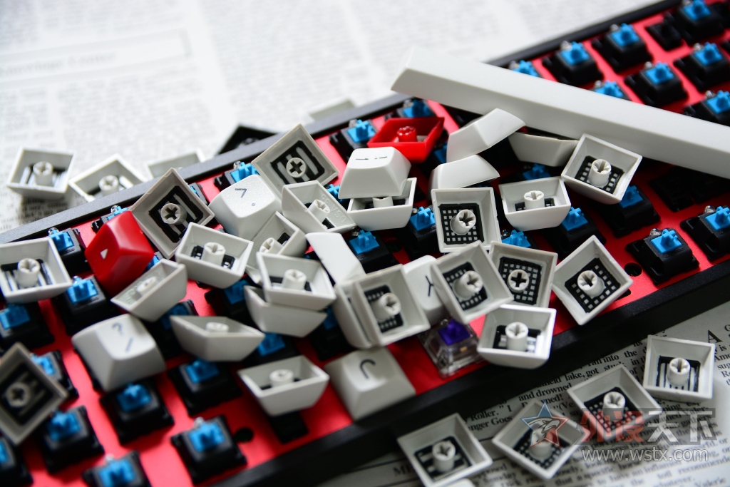 狰狞的困兽——DSA  WolfMark狼印键帽图赏