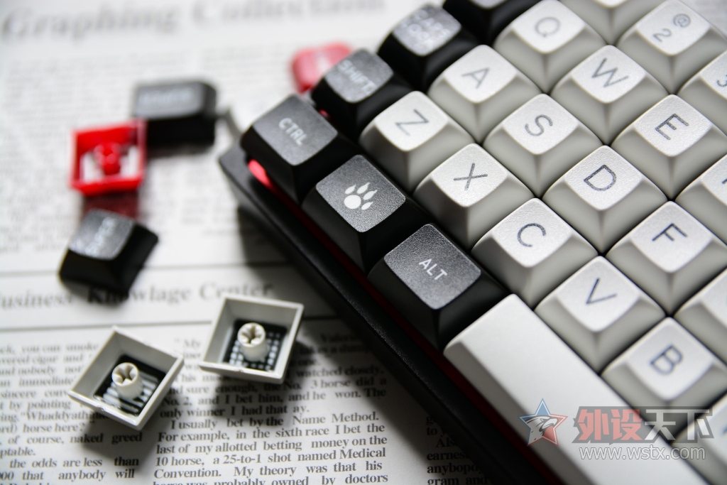 狰狞的困兽——DSA  WolfMark狼印键帽图赏