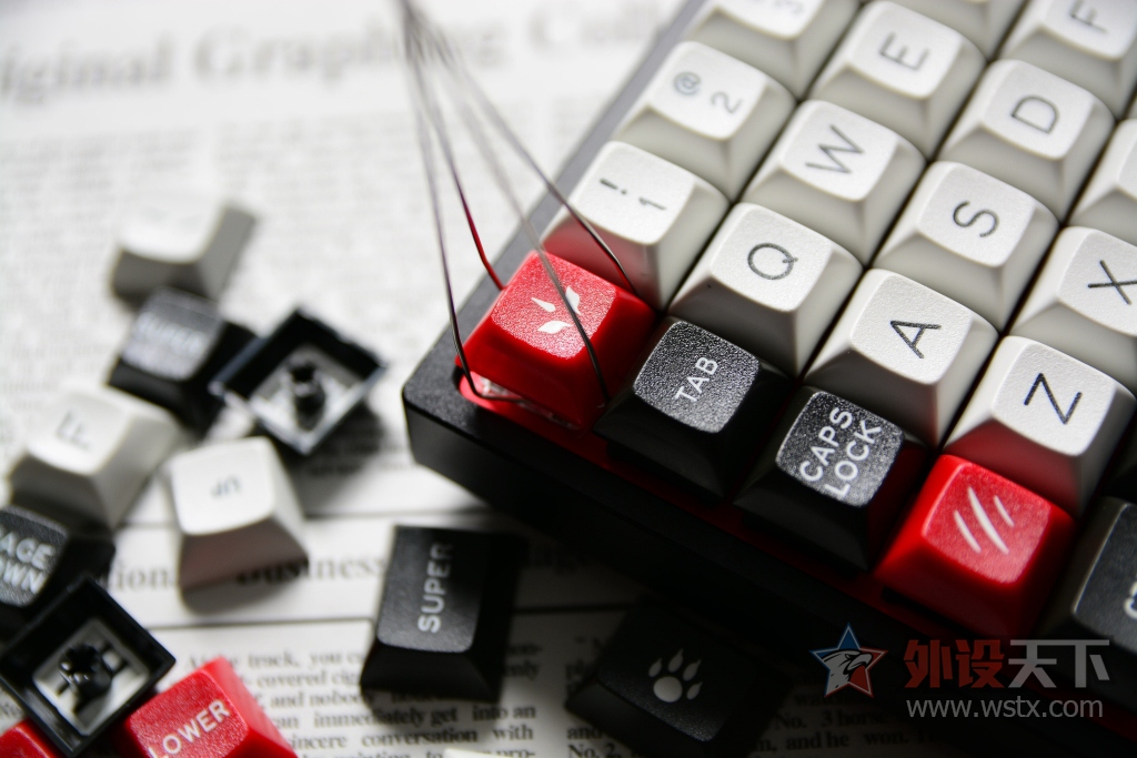 狰狞的困兽——DSA  WolfMark狼印键帽图赏