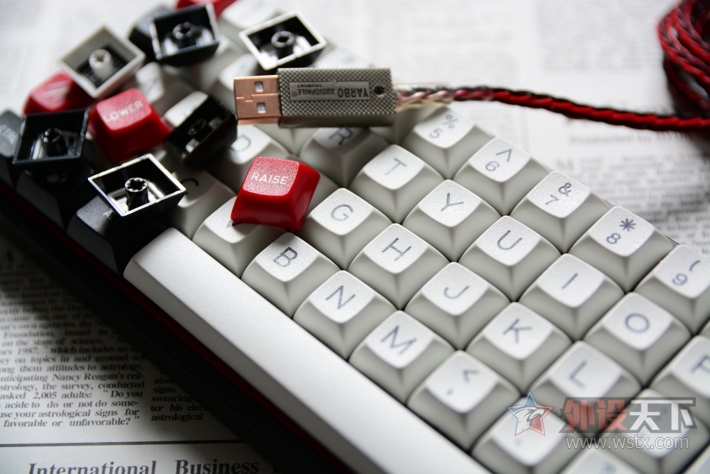 狰狞的困兽——DSA  WolfMark狼印键帽图赏
