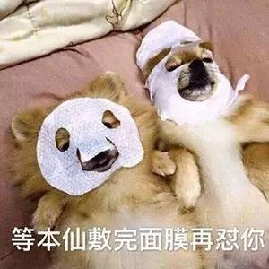 【欧凯给你个神段子】凝聚记忆的时间