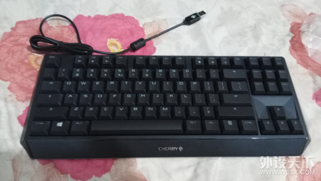 cherry  1.0TKL 无背光版拆解