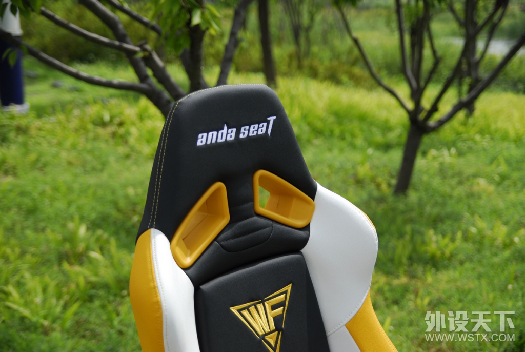 电竞的感觉——anda seaT 安德斯特赤金王座电竞椅