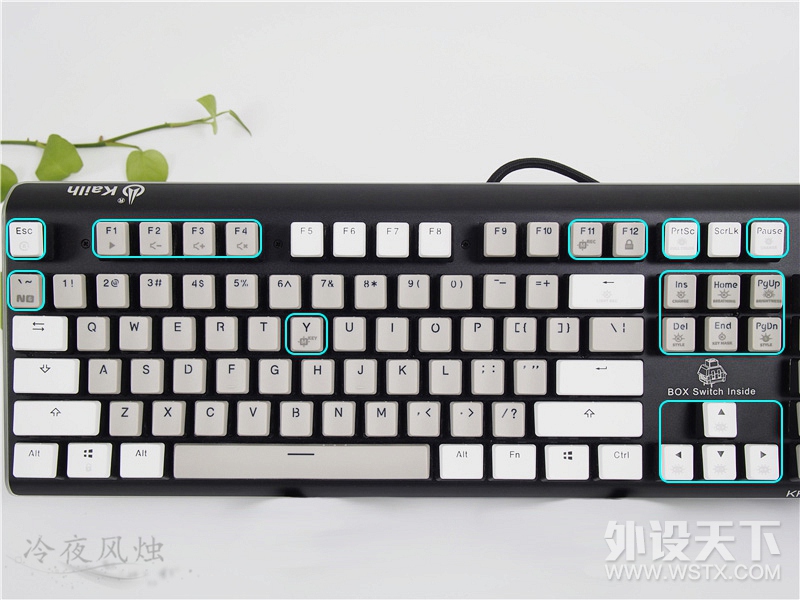 【风烛】创新，永不止步——凯华box轴布丁键帽纪念版键盘&袖珍键盘简评。