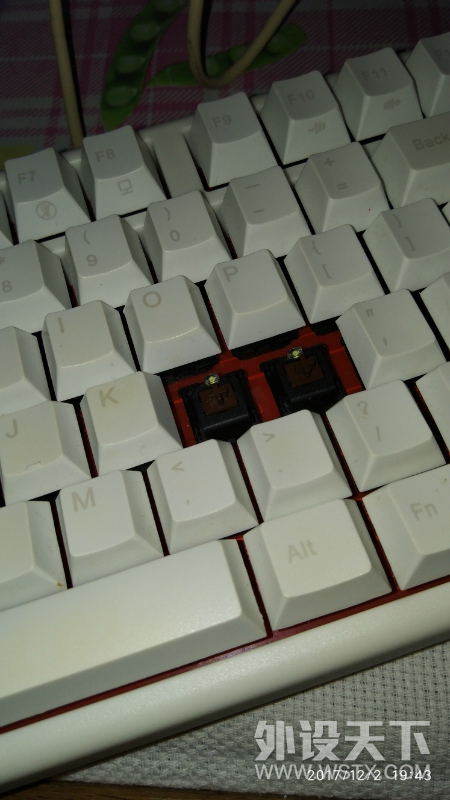 201339zchpdnkxg4pxtnvx.jpg
