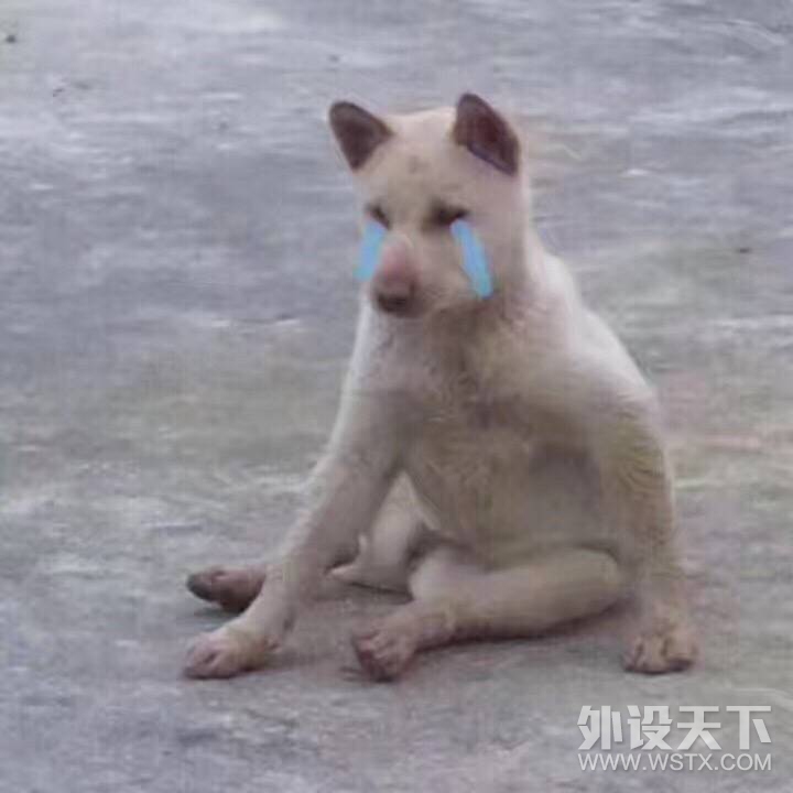 N久没来了  发两个 MOD